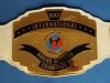 WKF BOXING_BKFC International title belt