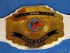 WKF BOXING_BKFC World title belt